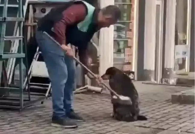 Bursa’da Esnafın Yürek Isıtan Hareketi: Sokak Köpeğini Temizledi