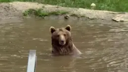 Stajyer Öğrenci Transpaletin Altında Kaldı
