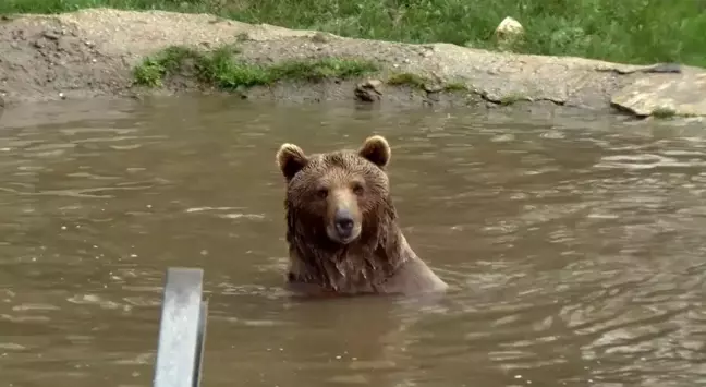 Stajyer Öğrenci Transpaletin Altında Kaldı