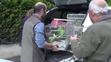 Kaçak Egzotik Papağanlar Ele Geçirildi