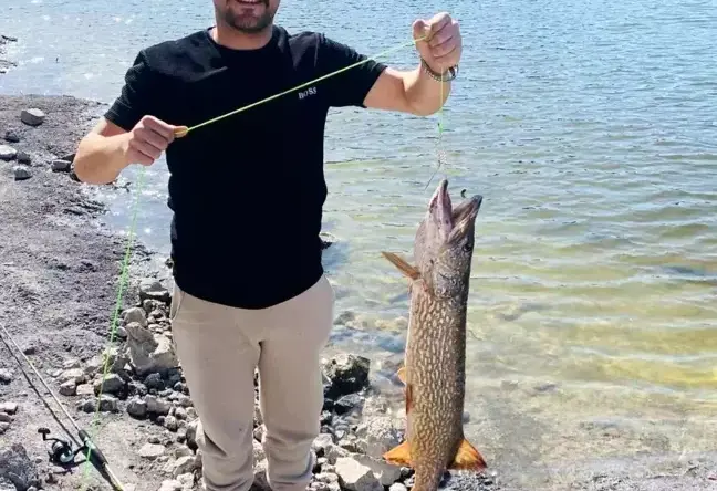 İnegöl’de Dev Turna Balığı Yakalandı