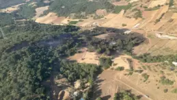 Kestel’deki Yangın Kontrol Altında