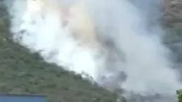 Bursa’da Orman Yangını