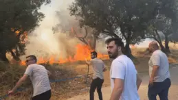 20 zeytin ağacı yandı: 2 çocuk gözaltında