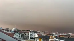 Bursa’da Orman Yangınları Etkisi: Duman ve Kül Alarmı